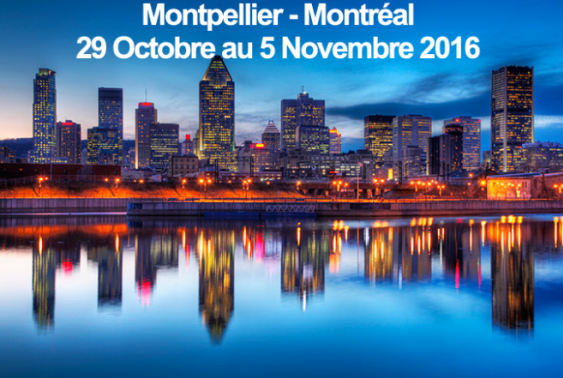BSWEB arrive sur le continent américain à l'occasion du programme d’échange business « Montpellier-Montréal, Startups Interaction »