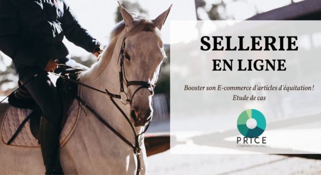 Etude de Cas - PriceComparator et Sellerie de Maé (e-commerce d'article d'équitation)